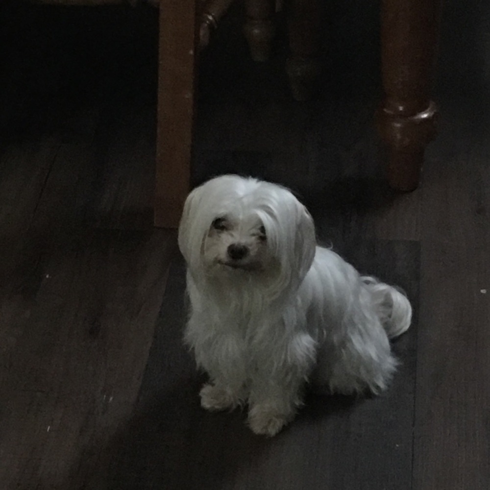 Meet your Posher, Blanca